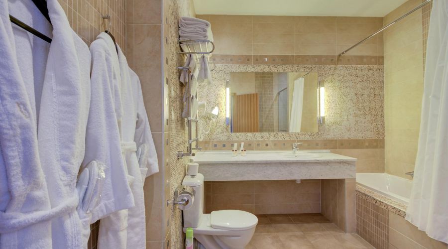 Двухуровневый двухкомнатный Апартамент (главный корпус)