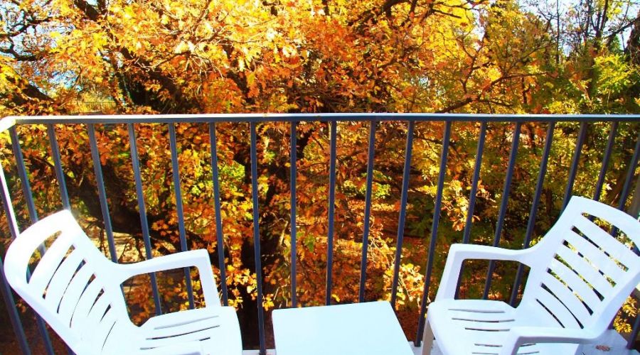 однокомнатный двухместный 3 этаж ("ДИАНА")