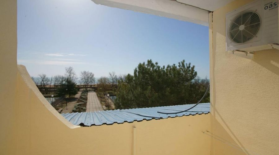 1-комнатный 1-местный Улучшенный Главный корпус