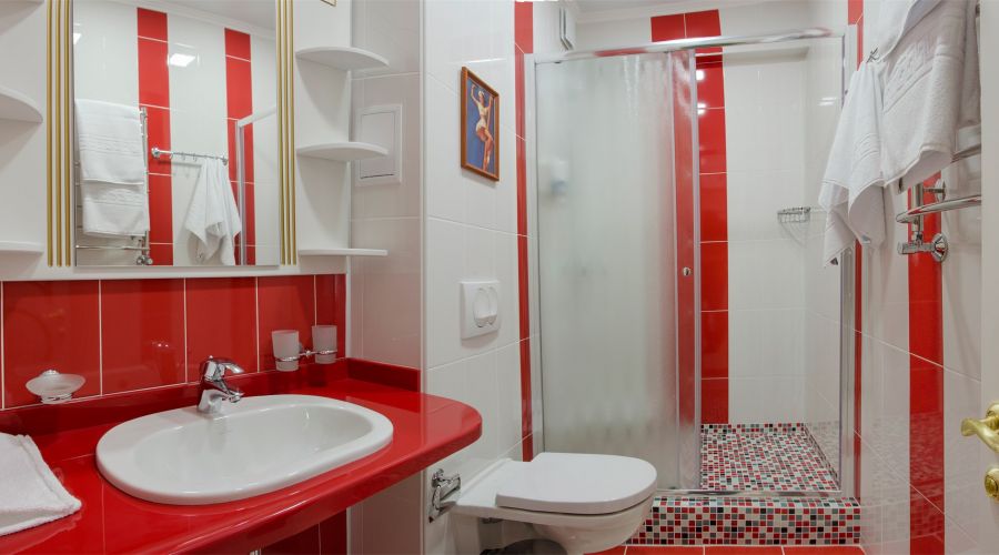 Полулюкс VIP семейный