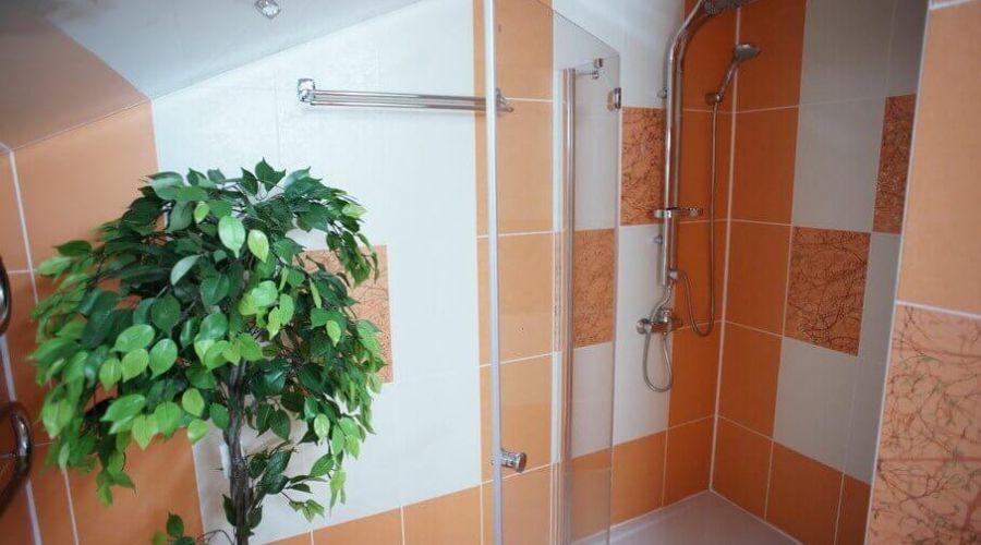 2-х местный Люкс с водопадом (studio)