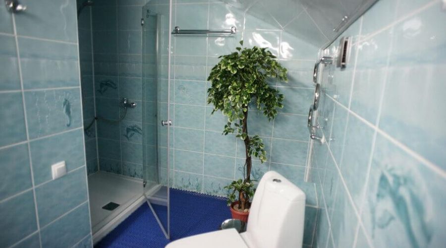 2-х местный Люкс с водопадом (studio)