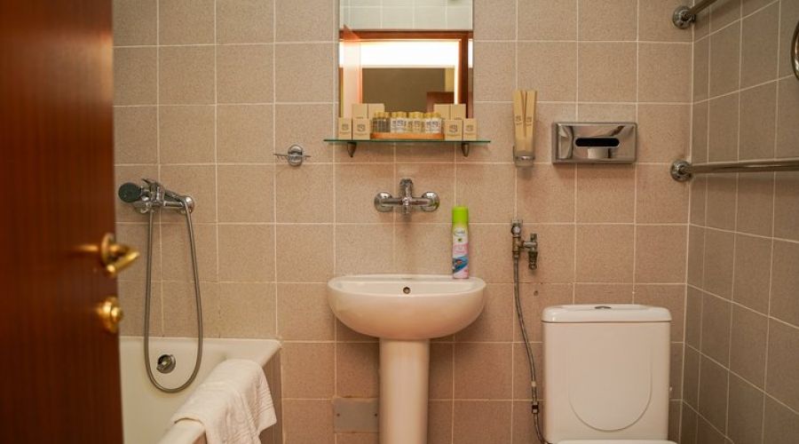 Люкс 2-местный