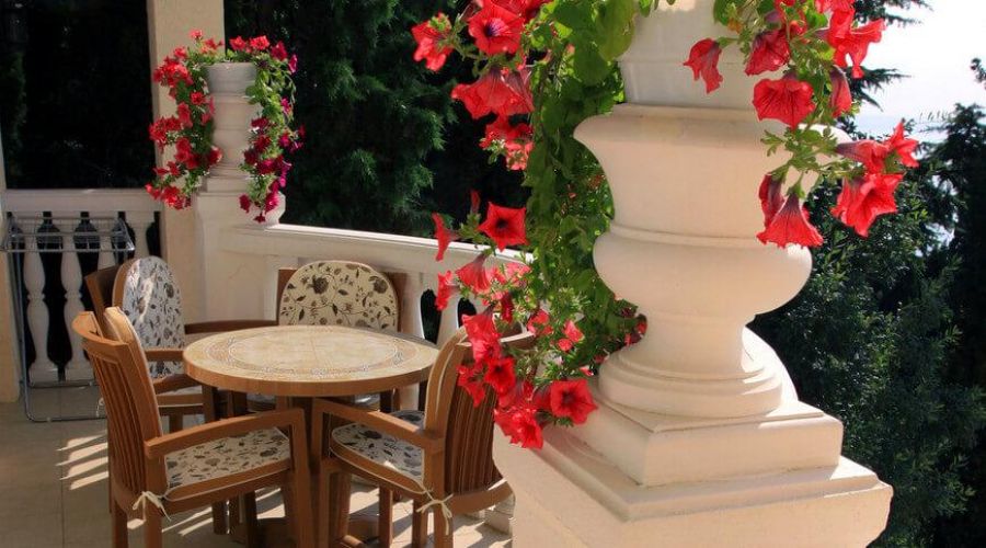 Люкс Семейный