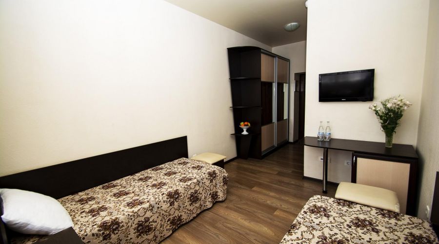 Двухместный стандарт