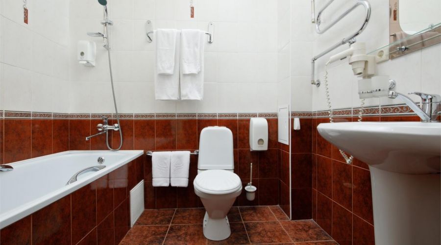 Люкс 2-местный 2-комнатный (в коттедже корпус 4,5)