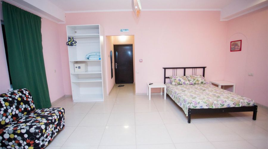 1 комнатные апартаменты с кухней