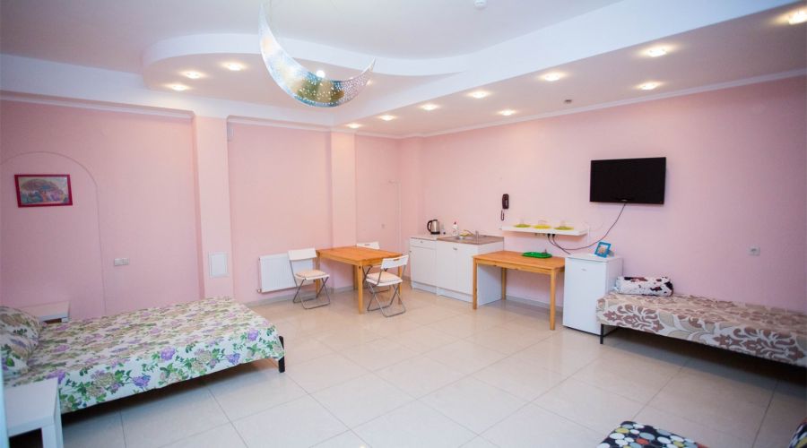 1 комнатные апартаменты с кухней