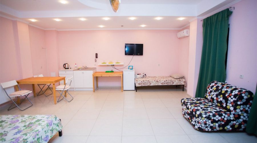 1 комнатные апартаменты с кухней