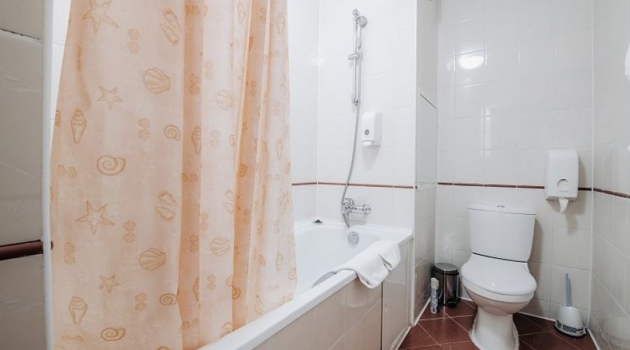 Стандартный TWIN 2 местный  (с диваном)