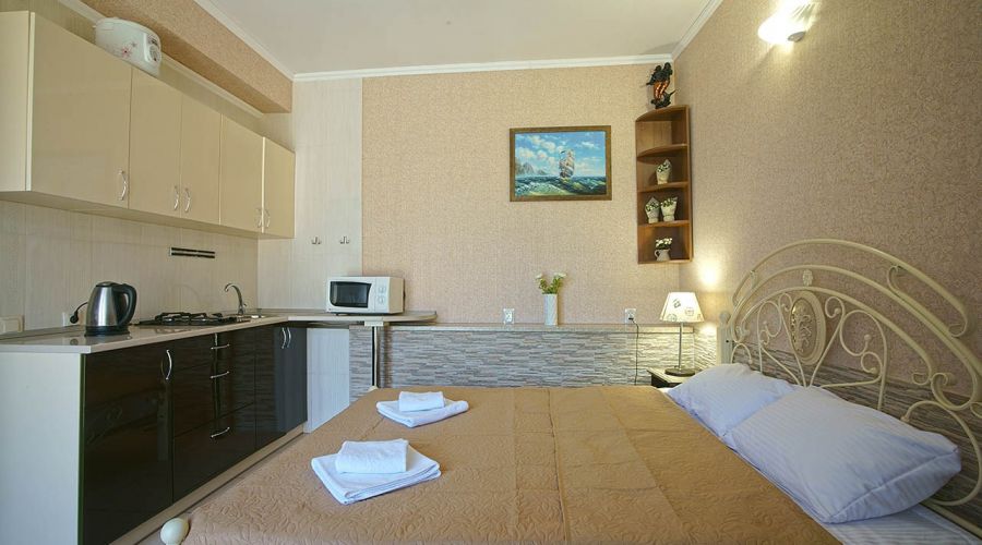 Апартаменты с кухней 2-х комнатный