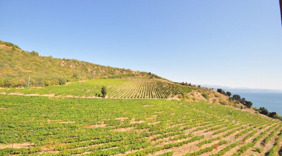 Номер "комфорт+панорамный"