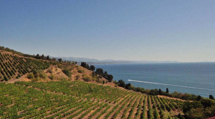 Номер "комфорт+панорамный"