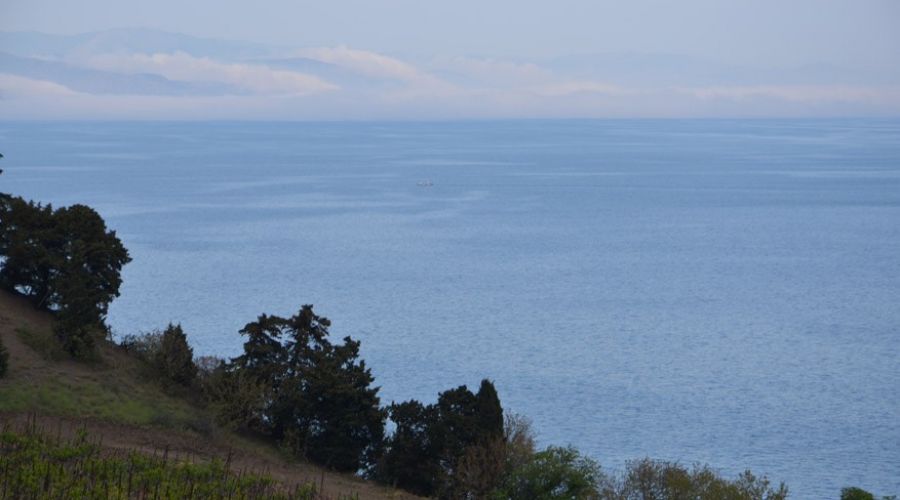 Номер "полулюкс" 2-комнатный