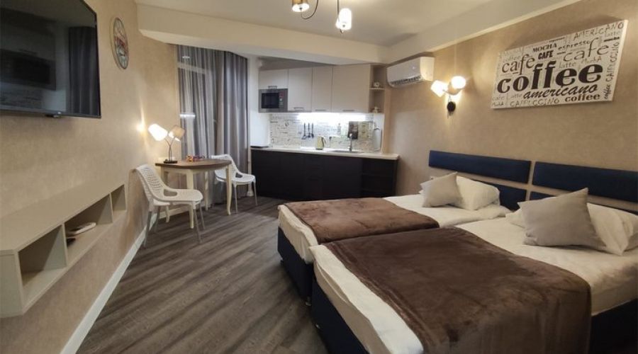 Полулюкс Кофейный 2-местный 1-комнатный