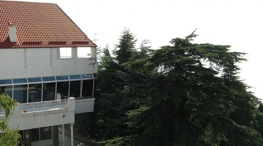 Джуниор Сюит 2-местный 1-комнатный (корпус №2)