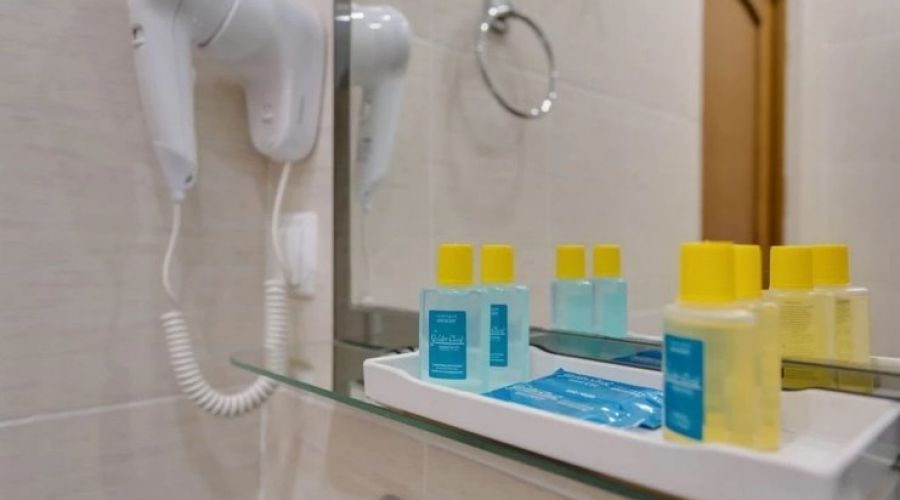 Люкс 2-местный 1-комнатный (Графский корпус)