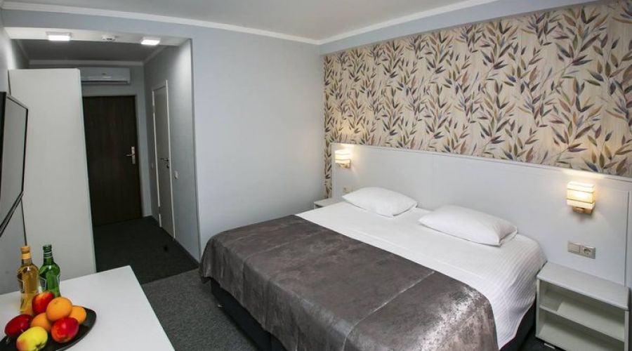 Стандартный 2-местный 1-комнатный с видом на горы (Новый корпус, 6 этаж)