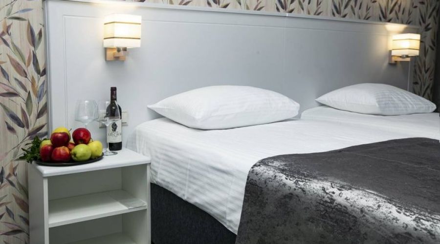 Стандартный 2-местный 1-комнатный с видом на горы (Новый корпус, 6 этаж)