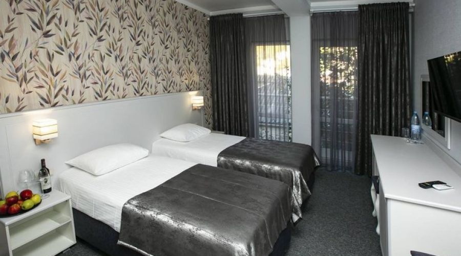 Стандартный 2-местный 1-комнатный с видом на горы (Новый корпус, 6 этаж)