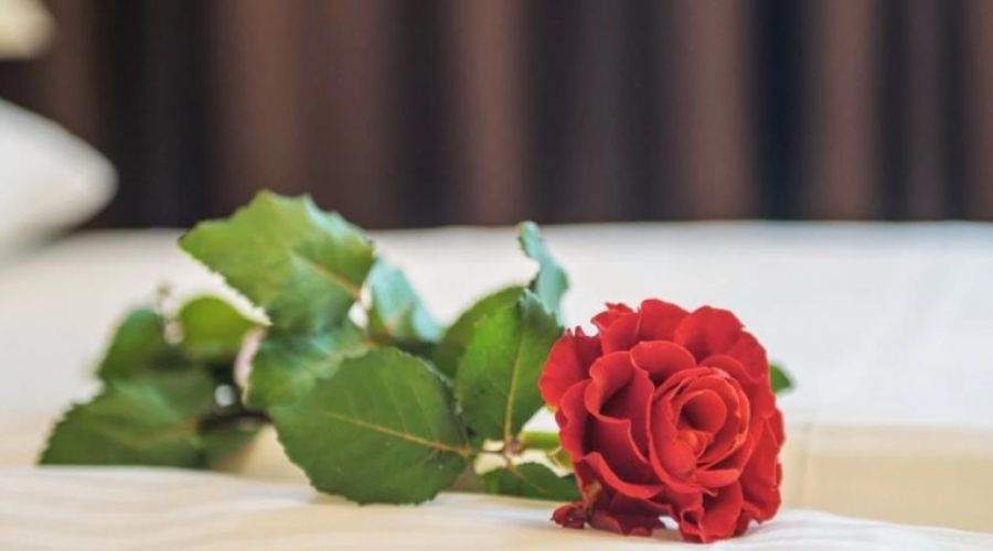 Апартаменты с кухней 1-комнатные