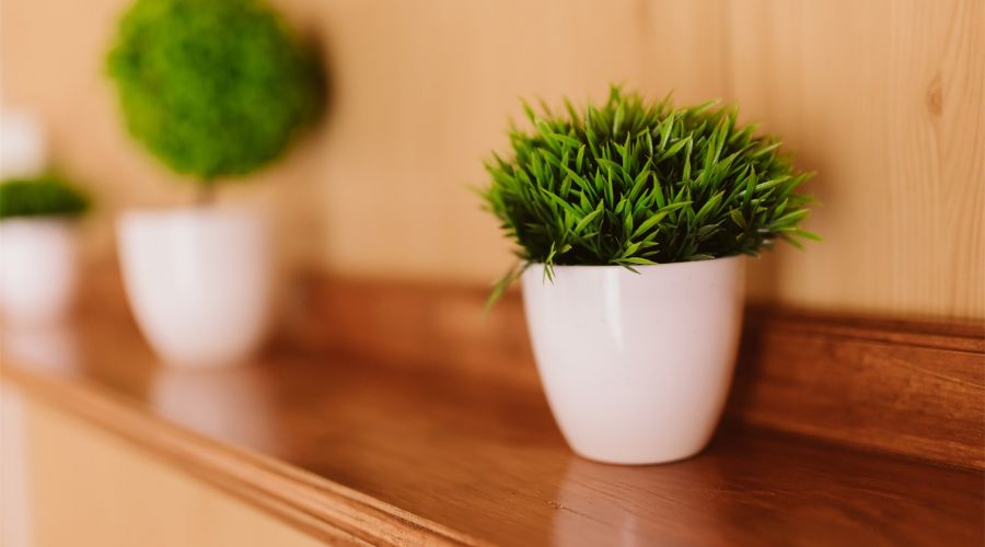 Номер 3-хм с панорамными окнами