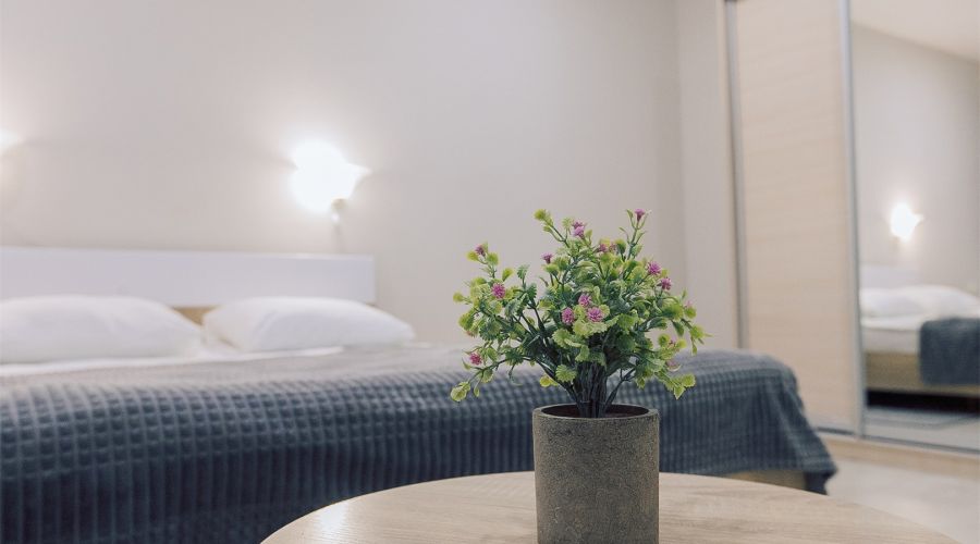 Дом хозяина