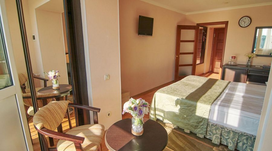 Однокомнатный (1-комнатный 2-местный)