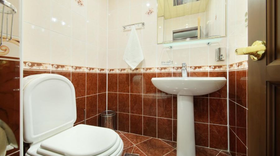 Апартамент (3-комнатный 2-местный)