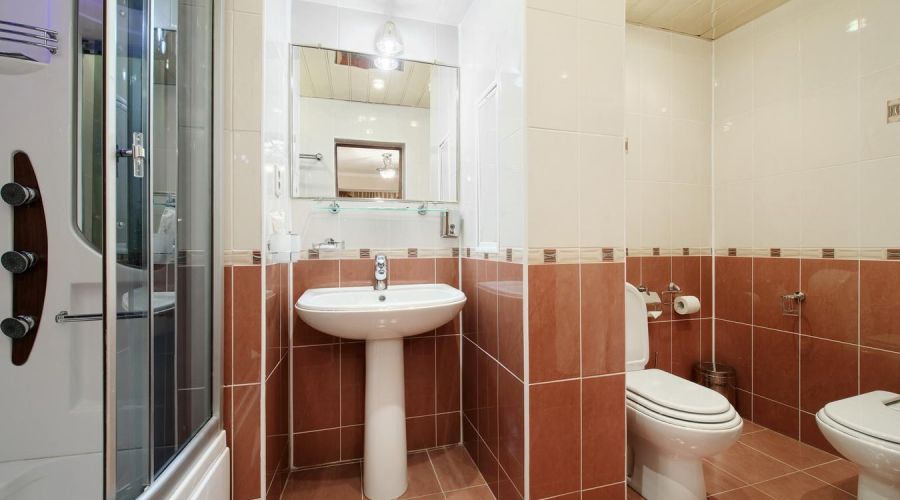 Апартамент (3-комнатный 2-местный)