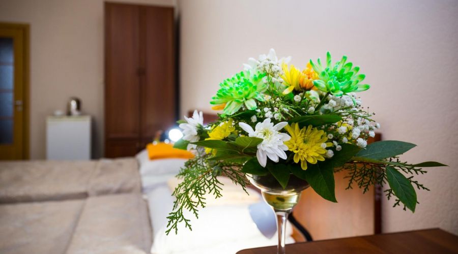 Двух­мест­ный стан­дарт 1 ка­те­го­рии Корпус №3