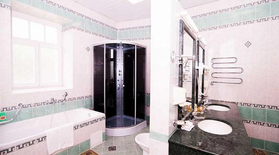 "АПАРТАМЕНТЫ - ЛЮКС" двухкомнатные двухместные № 103, 203