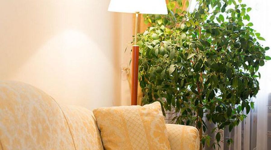 "Люкс" двухкомнатный двухместный DBL №3 корпус 5