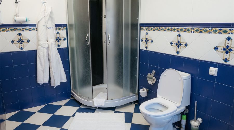 Номер "Полулюкс"