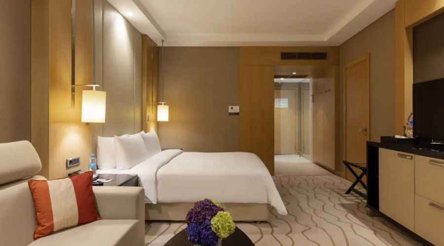 Делюкс с одной двуспальной кроватью