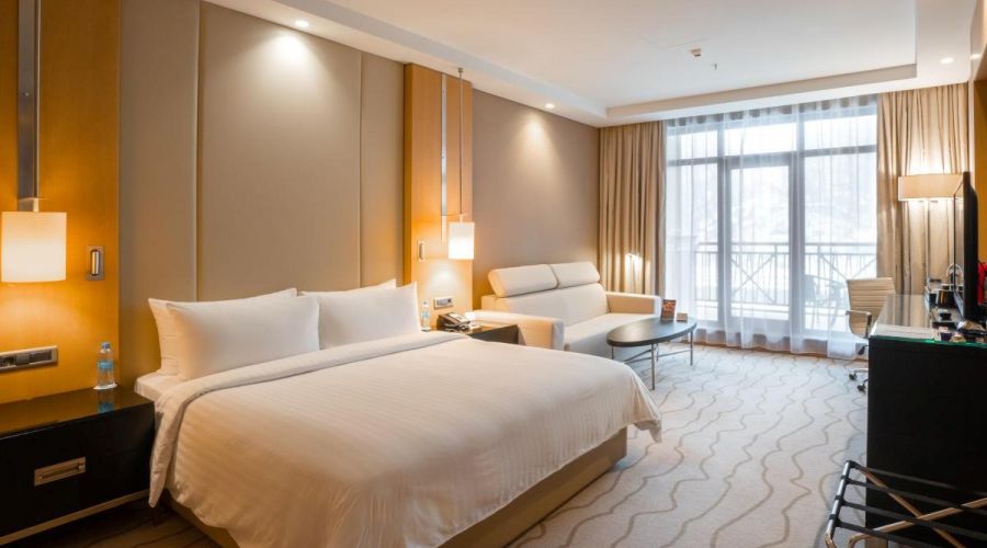 Делюкс с видом на горы с одной двуспальной кроватью