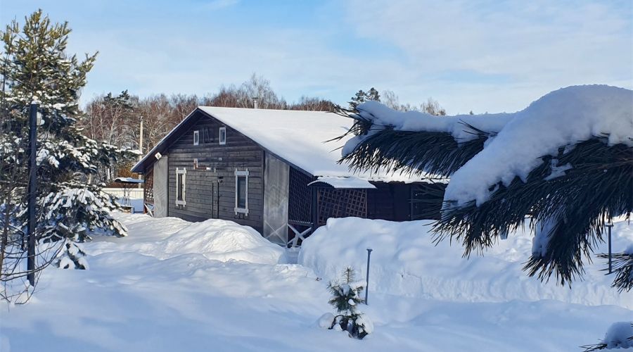 Большой Коттедж с камином,сауной  и терассой №9