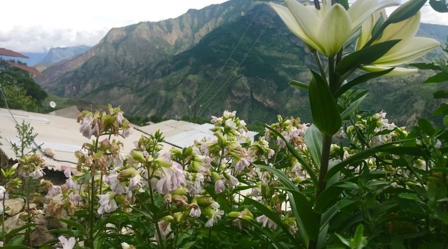 Трехместный стандарт