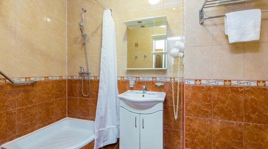 1 категория 1-местный 1-комнатный (1 корпус, 1К1м1к1)