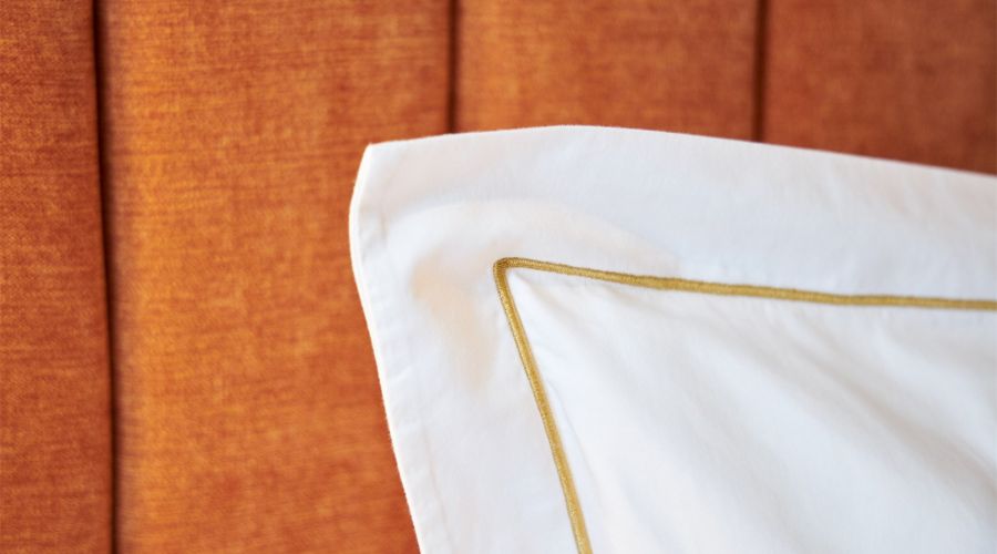 Студио с террасой | Вид на Неву