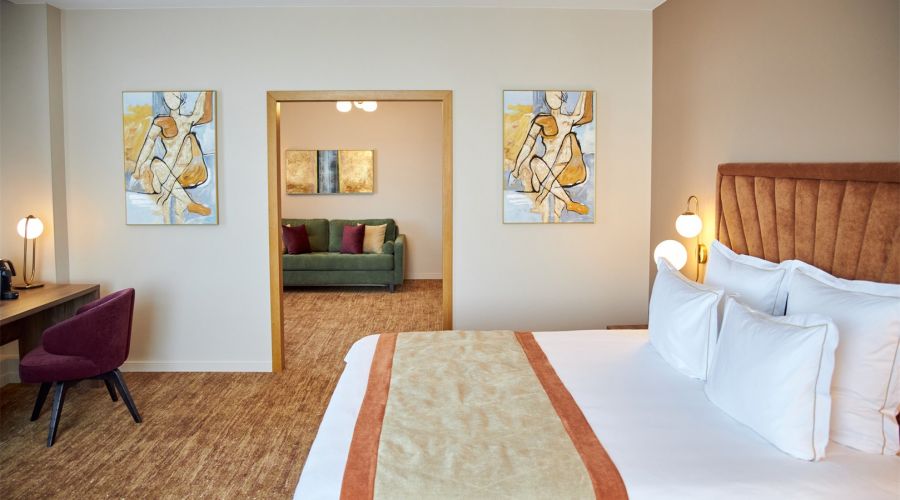 Двухкомнатный люкс с балконом | Вид на Неву