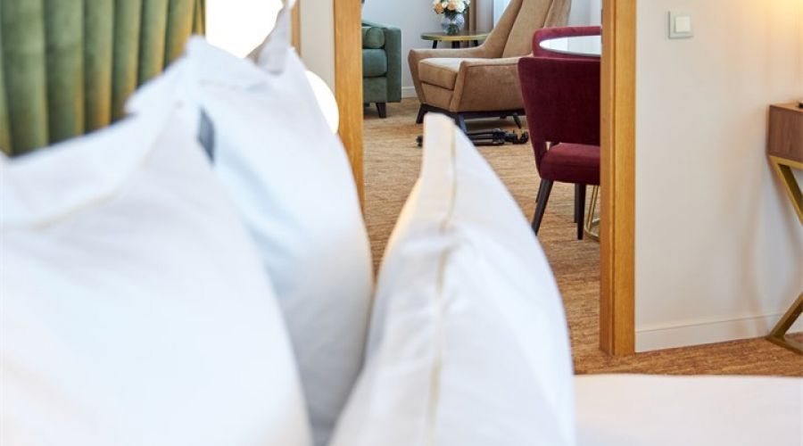 Двухкомнатный люкс с балконом | Вид на Неву