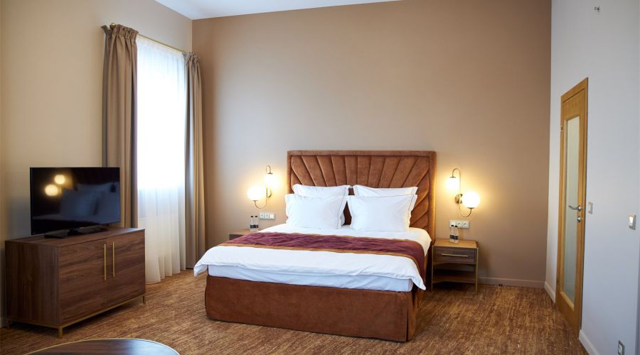 Двухкомнатный люкс с террасой | Вид на Неву