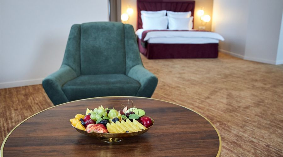 Двухкомнатный люкс с террасой | Вид на Неву