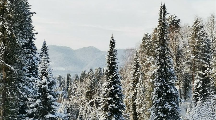 Коттедж с 4 спальнями