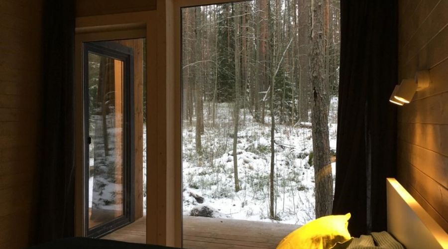 Дома с видом на лес