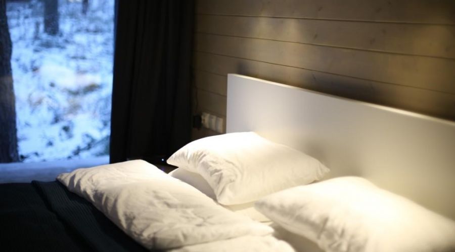 Дома с видом на лес