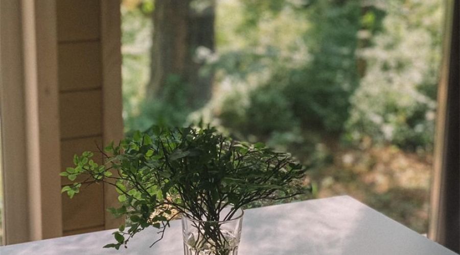 Дома с видом на лес