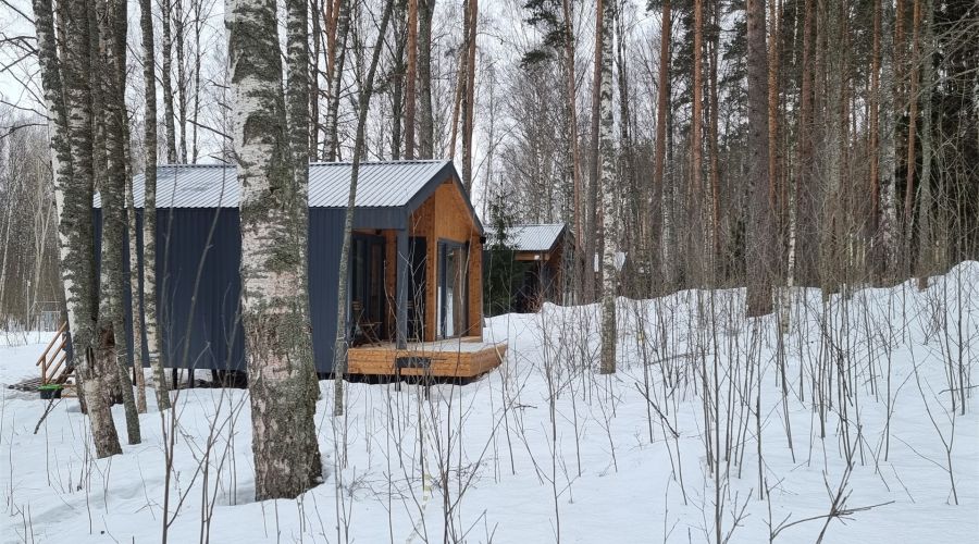 Дома с видом на лес гостиная со спальней