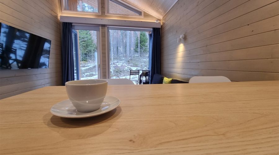 Дома с видом на лес гостиная со спальней